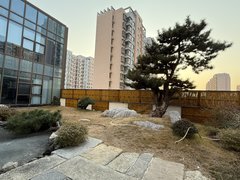 临沂北城新区孝河路带400平方空中花园 适合招待办工 停车非常方便出租房源真实图片