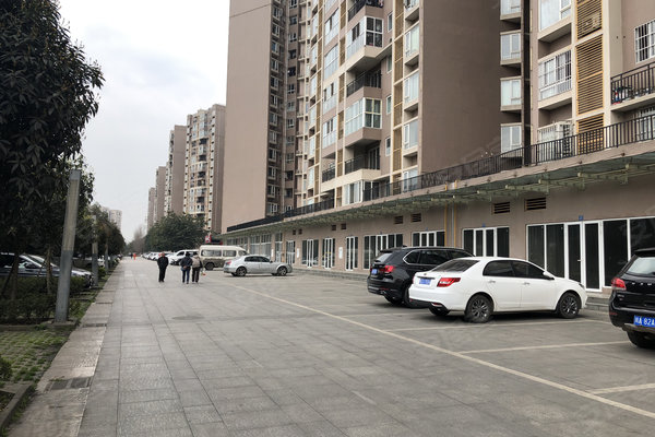 成都小区 双流小区 航空港小区 文星花园 文星花园怎么样