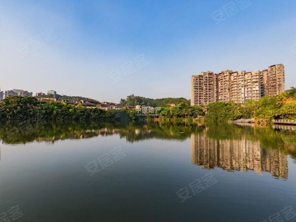 深圳龙华梅林关口星河丹堤(别墅)深圳北站!