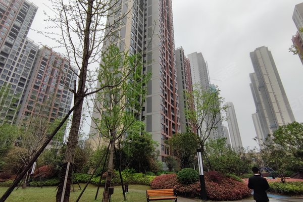 东原启城(一期)怎么样,东原启城(一期)周边房产中介经纪人评价-武汉