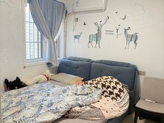 沛县汉街福泰隆城投汉邦广场书香花苑 3室2厅2卫出租房源真实图片
