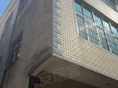 龙海城区龙海城区马州村自建房 5室2厅2卫出租房源真实图片