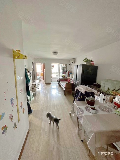 海淀西四环世纪城旁 南北通透2居,常青园北里二手房,460万,2室1厅,1卫