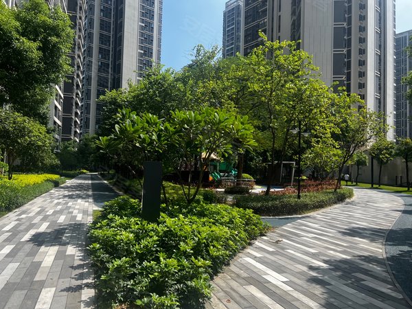 广州南沙榄核保利星海小镇保利星海小镇南向三房出租 望花园房子保养