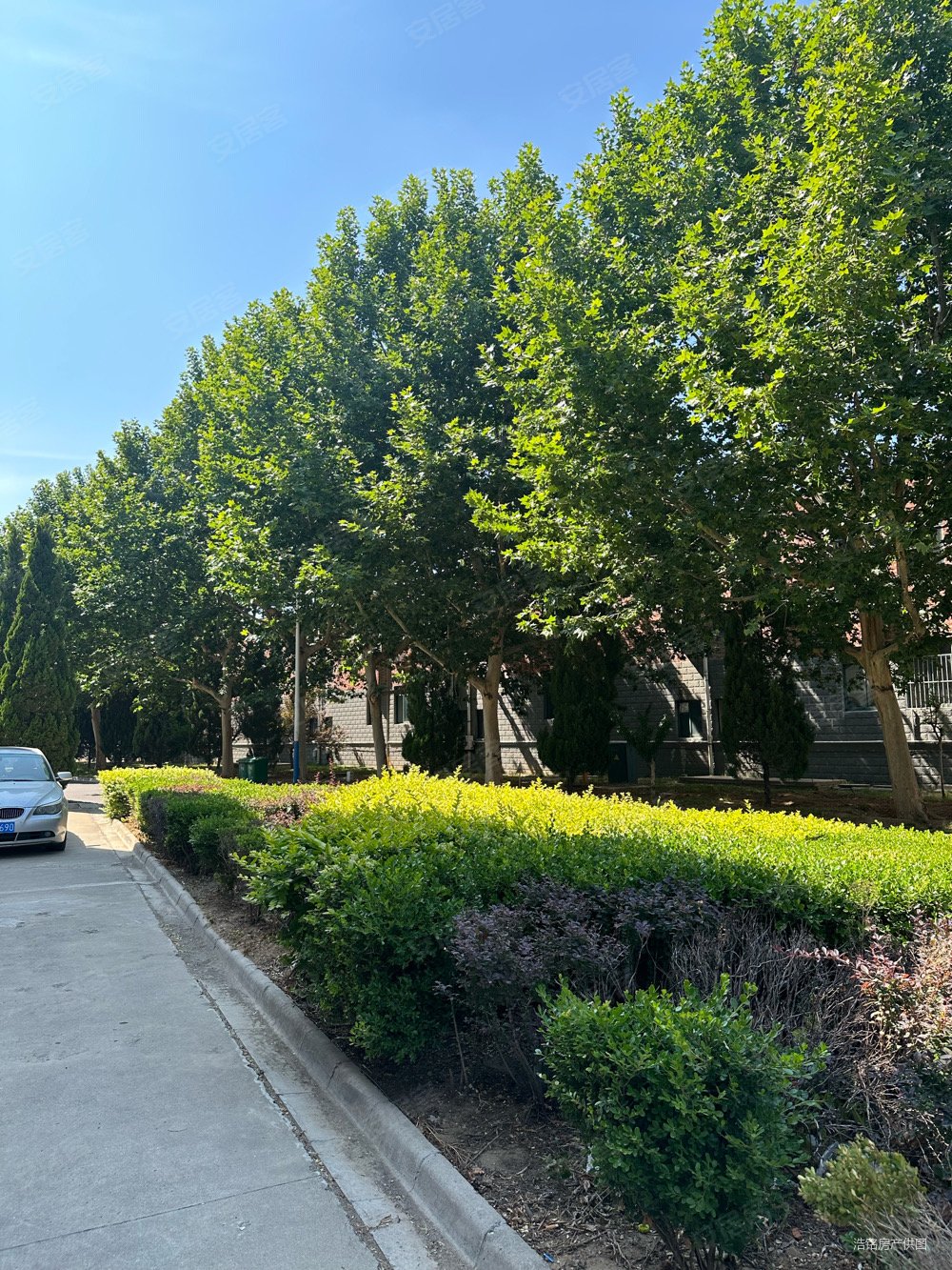 捡漏特价出售世纪花园二期80平米一楼带花园两室