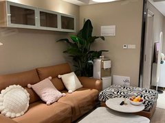 怀化鹤城城中可月付 新悦城 昌顺广场附近  押一付一 无中介費 家电齐全出租房源真实图片