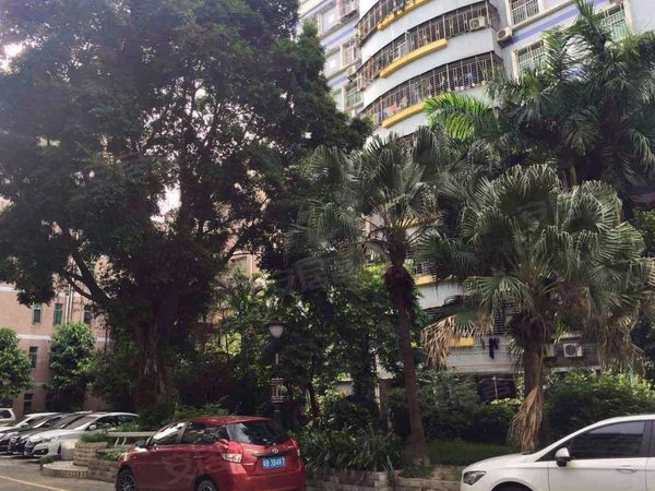 【多图】丽新花园,西丽租房,西丽地铁口50米 丽新花园2室低价出租