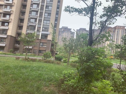 绿地滨河国际城