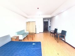 武汉蔡甸蔡甸周边常福壹号公馆 电梯房 1室1厅1卫 精装修出租房源真实图片