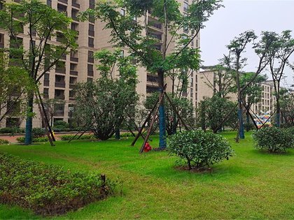 【中梁壹号院二手房,信阳中梁壹号院二手房出售信息】- 上海安居客