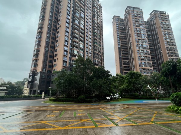 深圳龙岗坂田大族云峰二期大族云峰二期 4室2厅2卫 电梯房 精装修