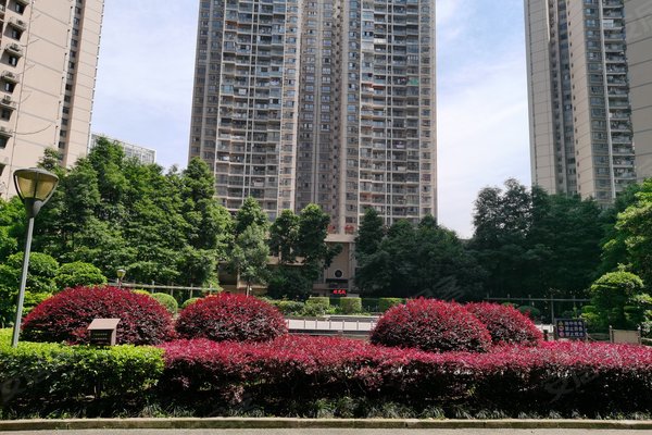 重庆二手房 上海城 > 柴洁解读上海城小区设施