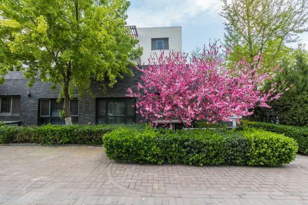 诸子阶,常青园路 - 北京诸子阶二手房,租房,房价-北京安居客