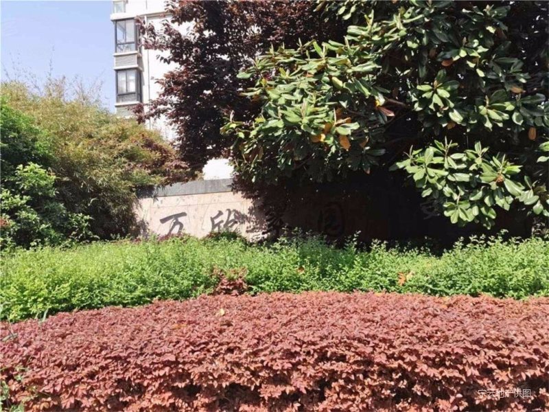 竹山路5号线地铁口电梯精装3房竹小竹中玉堂花园万欣翠园