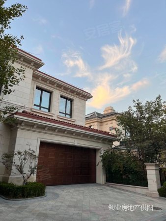 麓山国际带私人车库(独门独院丨前后双花园)大牌家具家电全带