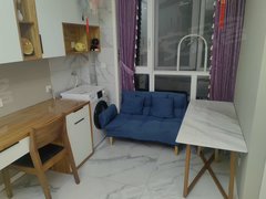 武汉洪山欢乐谷金地自在城(商住楼) 1室0厅1卫  电梯房 精装修38平米出租房源真实图片