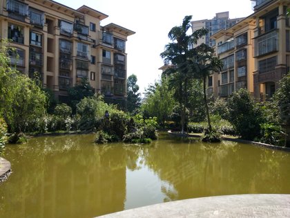 不足,天远红树湾怎么样,天远红树湾周边房产中介经纪人评价-泸州安居