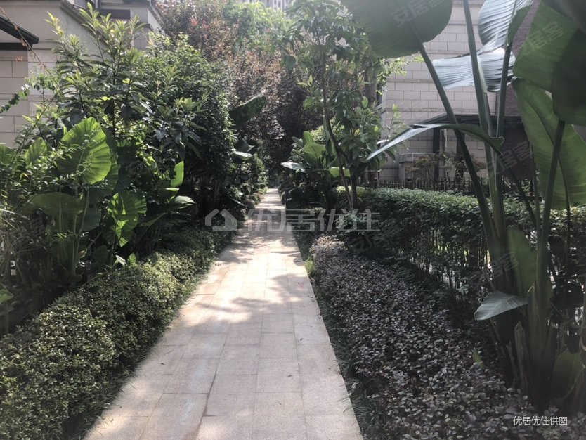 金科廊桥水乡花蝶墅别墅