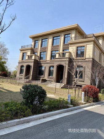 双拼独栋 带140平大花园 单价9千多 金坛半岛珑庭别墅