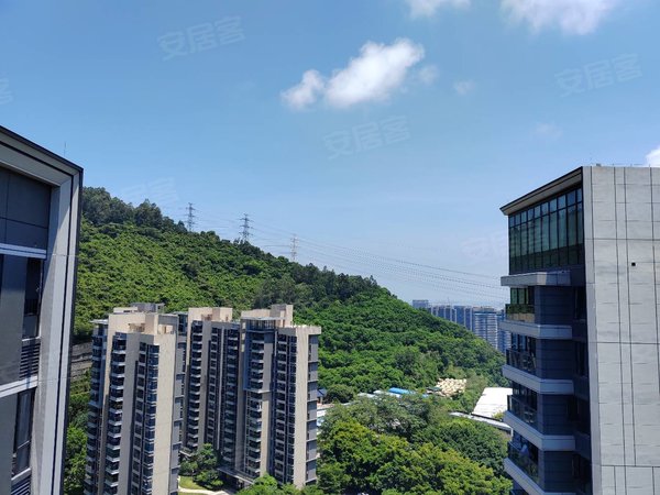 深圳南山海上世界半山臻境(出租特价处理)半山臻境高楼层看花园南北