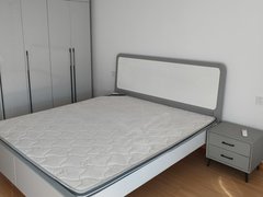 蚌埠龙子湖蚌埠火车站瑞泰城市广场 2居室 精装修 拎包入住出租房源真实图片