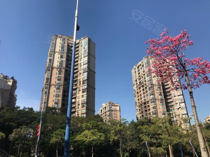 创鸿水韵尚都,海七路6号 - 佛山创鸿水韵尚都二手房,租房,房价-佛山