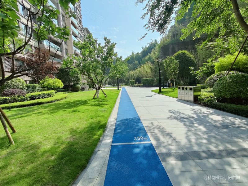 万科17英里一期满五电梯房停车方便