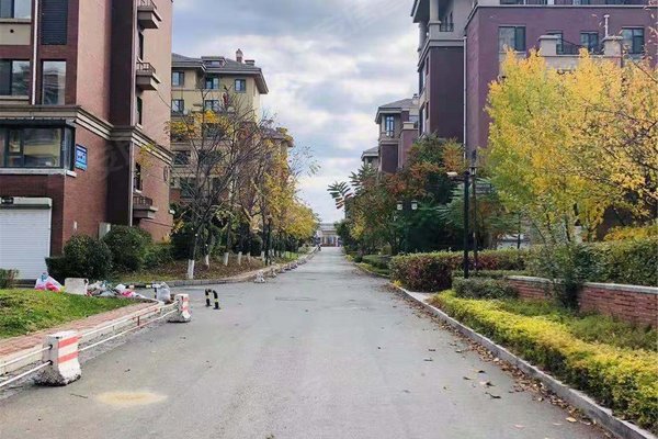 复地哥德堡森林