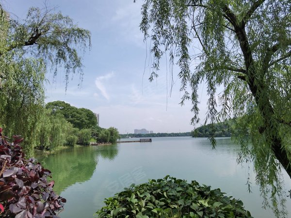 区政府对面紫鑫御湖湾大平面湖景尽收眼底视野开阔可办公