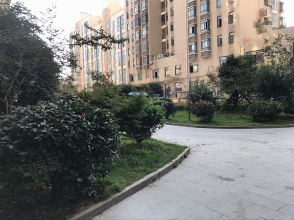 尚城国际 800元 1室1厅1卫 精装修,享受生活的快出租房源真实图片