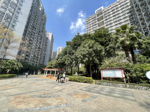 【多图】华南西苑,平湖租房,华南西苑 平层两房 精装 朝南 采光好
