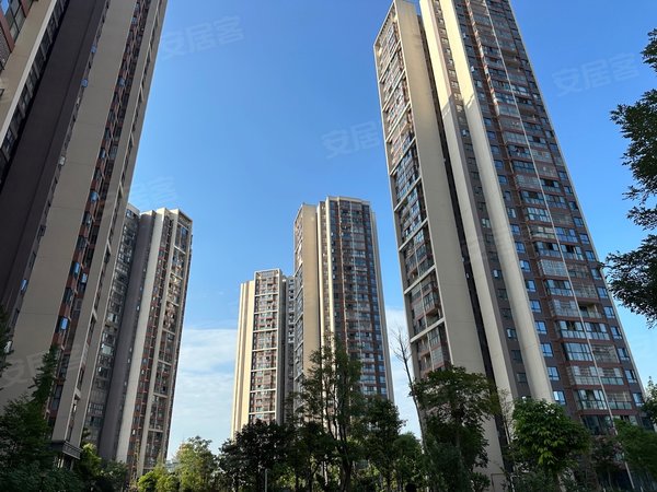 成都成华十里店丛树家园整租成都租房成华区东郊记忆二仙桥理工大学十