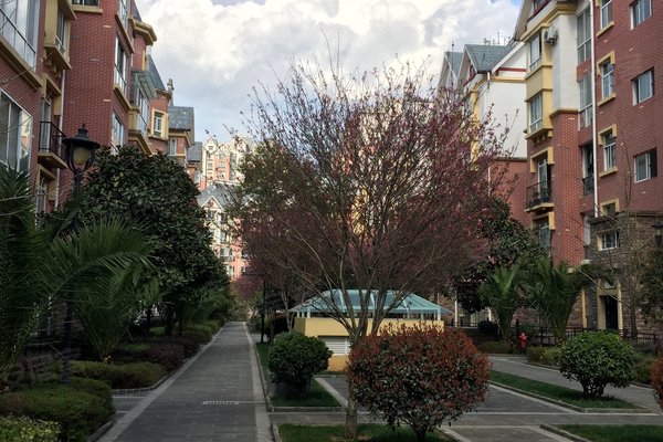 保山小区 腾冲小区 腾冲小区 高黎贡国际旅游城 高黎贡国际旅游城怎么