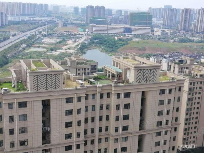 九龙湖花园二区