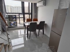 宁波镇海骆驼迪赛邻里 复式  电梯房 诚心可以谈。出租房源真实图片