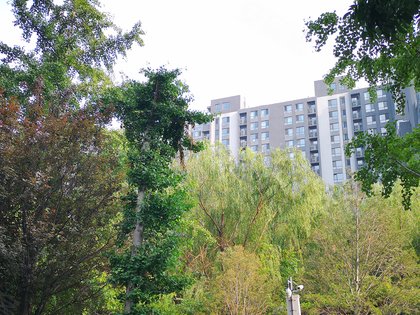 中信禧园北区中信城三期