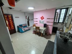 合肥蜀山黄潜望华亿大厦 1室1厅1卫出租房源真实图片