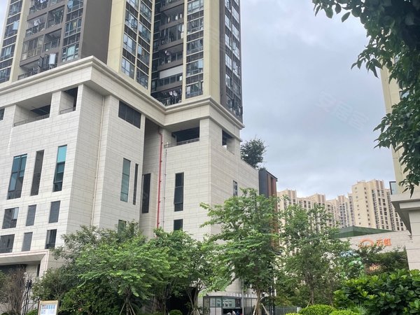 深圳坪山坪山佳华领悦广场佳华楼下地铁站,天虹商场,双地铁口,交通