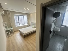 苏州工业园东沙湖(新上一套)毕业福利 小清新风 配套齐全 朝南大独卫 近地铁出租房源真实图片