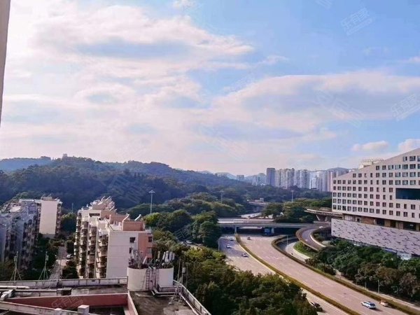 深圳福田莲花村莲花一村深业上城对面美莲大厦电梯房两房,安静舒适!