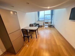 租江景 loft 适合居家工作图书馆地铁旁边拎包入住大戸型