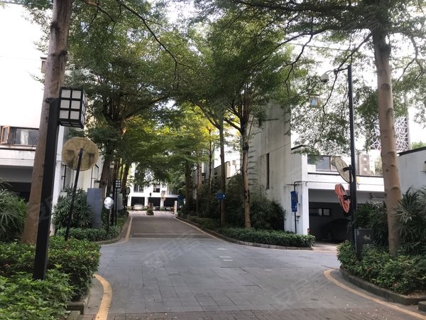 深圳龙岗坂田第五园二期(别墅)新上万科第五园 湖景别墅 上下3层 可