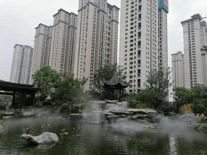 泰禾红树湾院子优点,不足,泰禾红树湾院子怎么样,泰禾红树湾院子周边