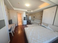 北京海淀苏州街中关村 苏州街 艾瑟顿公寓精装北向50平米开间一居室 随时看出租房源真实图片