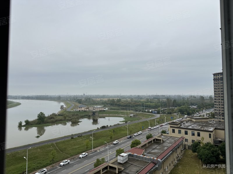 中岛花园 双明卫户型 河景房 大三室 星空毛胚 挥泪卖 满2