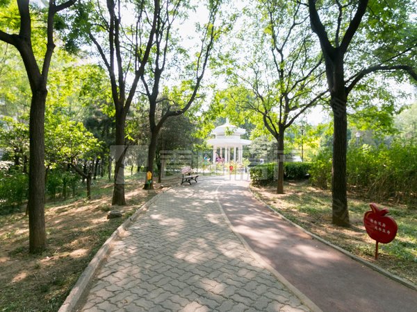 北京朝阳望京南湖东园一区南湖东园一区 3室2厅1卫 电梯房 94平 配套