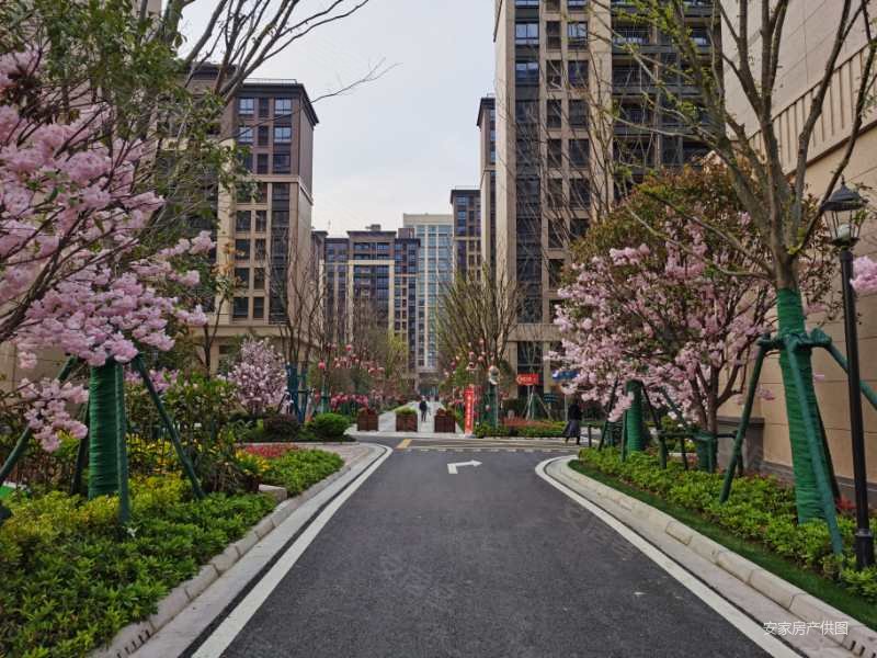 急售 保利玲珑公馆精装三房 电梯好楼层 配套成熟 随时看房