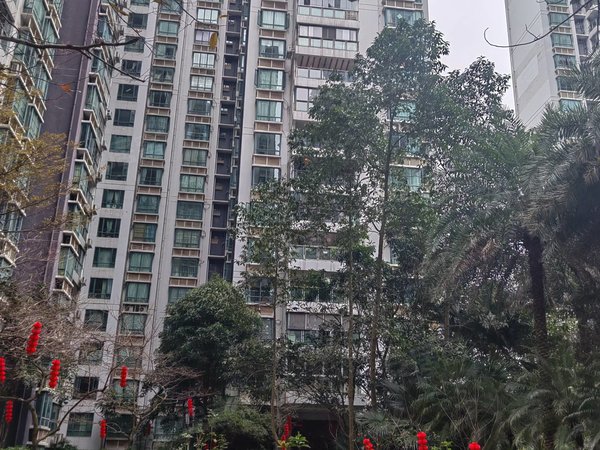 南宁青秀东盟商务德瑞花园全新家具,德瑞花园 青秀区任何地段小区都有