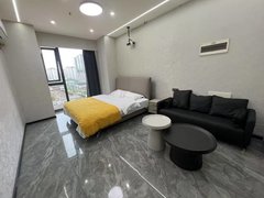 乐山市中万达广场可月付！出门就是万达！全新装修轻奢风！手慢无！出租房源真实图片