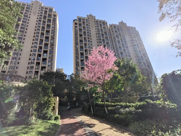 南亚旁 盛高大城精装1室 拎包入住 地铁口 金牛小区,西山租房-昆明58